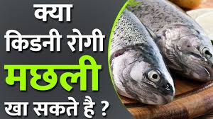 Is Fish Good For Kidney Patients In Kidney Disease Can Patient Consume Fish Food Yes Or No High Sources Of Protein Kidney Disease Kidney Diet