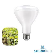 Brightness is measured in lumens; Daylight Italia Growing Led Bulb Plant Green Br30 100 240v E27 12w 20umol Ip44 Horticolture Diffusione Luce Srl