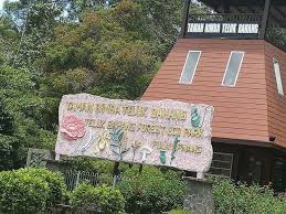 Permatang trail, taman rimba teluk bahang. Penang Kini Kejernihan Air Di Taman Rimba Teluk Bahang Facebook