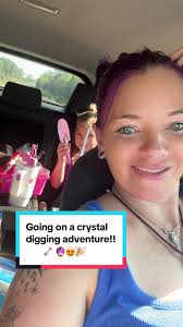 Wagner Crystal Courts Minds