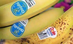 N Achetez Pas Un Fruit Dont L Autocollant Indique Un 8 Voici Pourquoi Vous Devez Faire Attention Etiquettes Alimentaires Etiquette Fruits Et Legumes Trucs Et Astuces