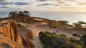 Torrey pines state natural reserve is 2,000 acres of a coastal state park located in the community of la jolla, in san diego, california, off north torrey pines road. All You Need To Know About Torrey Pines Hiking Trails The Backpacker