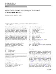 The ability to culture cells is fundamental for mass propagation and as. Pdf Tissue Culture Mediated Biotechnological Intervention In Pomegranate A Review Nana Newman Academia Edu