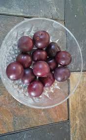 Established fruit tree plums are best pruned in midsummer. Are Purple Leaf Plums Edible V I P Landscaping
