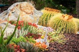 Container designs with succulent plants sunset magazine. Succulent Gardens Landscaping Ideas For Your Front And Backyard