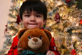 I pulled all my christmas decorations out today. Snow globes, some  collectable build a bears, old houses, ornaments, wreaths, etc. And  EVERYTHING smells musty. Is there a way to get this smell