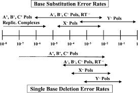 Individuals now are accustomed to using the net in gadgets to see image and video data for inspiration, and according to … What Is Another Word For Base Substitution Mutation