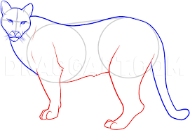 When citing a website the general format is as follows. How To Draw A Mountain Lion Coloring Page Trace Drawing