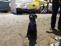 Whitesbog’s Blueberry Summer Fest