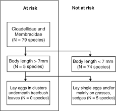 3221 southwestern blvd, ste 186 orchard park, ny 14127. Alien Insects And Insect Conservation Springerlink