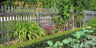 Vegetable garden with deer fencing for protection this is an example of a traditional landscaping in new york. 20 Best Garden Fence Ideas Different Types Of Garden Fences