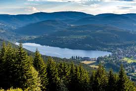Search for restaurants, hotels, museums and more. Titisee Neustadt Neustadt In Europa De