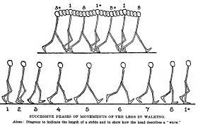 How To Draw And Animate A Person Walking Or Running - Huge Guide And  Tutorial - How To Draw Step By Step Drawing Tutorials