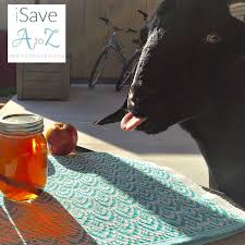Read on for 10+ amazing moonshine recipes try, from apple pie to cotton candy. Apple Pie Moonshine Recipe Isavea2z Com