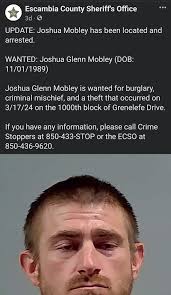 Cottage Hill Man Charged After Allegedly Pouring Out Soda Inside A Pickup  Truck : NorthEscambia.com