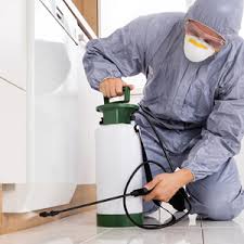 Here, we'll share our top recommendations for the best pest control if you're unsure which pest control company is best for you, read our comprehensive guide detailing our top pest control companies for 2021. Indian Pest Control