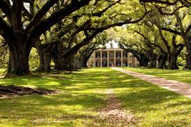 Oak alley is named for its distinguishing visual feature, an alley (french allée) or canopied path. Elevation Of Vacherie La Usa Topographic Map Altitude Map