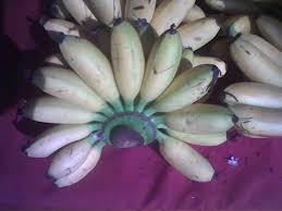Maybe you would like to learn more about one of these? Pisang Mas Wikipedia Bahasa Melayu Ensiklopedia Bebas