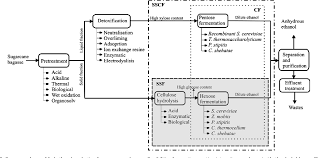 Fuelcheck is the government's handy online tool to help motorists save money when buying petrol. Production Of Bioethanol From Sugarcane Bagasse Status And Perspectives Semantic Scholar