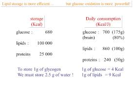 La data de 31 martie 2006, existau 10. Universite J Fourier Xavier Leverve Grenoble Desc De Reanimation Medicale 31 Mai 2006 Chu De Grenoble Direction Scientifique Nutrition Humaine Et Securite Ppt Download