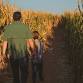 Haunted Corn Maze | Schuylerville, NY | Friday and event image