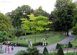 Open Grass Areas Found Within The Jardins Du Trocadero Great To Relax On Among The Greenery More Photos To Be Avec Images Jardins Palais De Chaillot Region Ile De France