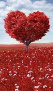 Abundantlifedreams Com Valentine Hearts Inspired By Nature 42 Photos Valentines Wallpaper Beautiful Nature Beautiful Wallpapers