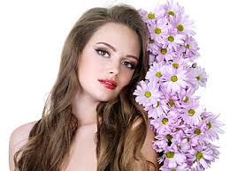 HD sweet daisy wallpapers