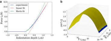 The cell theory states that cells are the basic units that make up living things, that cells come from preexisting cells and that. Quantifying Hydrostatic Pressure In Plant Cells By Using Indentation With An Atomic Force Microscope Sciencedirect