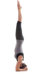 We present you with some of the best yoga asanas for irregular periods you can try at the comfort of your home: The Twelve Basic Yoga Poses Body Mind Light