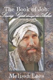 The Book of Job: Seeing God through the Ashes: Lees, Melissa:  9781539115229: Amazon.com: Books