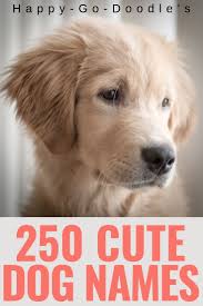 Black And Brown Dog Names 250 Best Dog Names Ending In Y Cutie Pie Puppy Names That End In Ie Happy Go Doodle Cute Names For Dogs Puppies Names Female Dog Names
