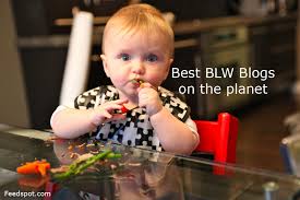 Sometimes your baby will decide for herself that she has had enough. Top 5 Blw Blogs And Websites To Follow In 2021