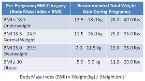 the well rounded mama common sense prenatal weight gain