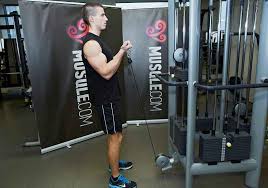 Standing Cable Curls Pulley Curls Bodybuilding Wizard