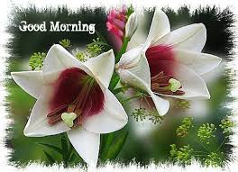 You've got one more day to rise and shine. Good Morning White Flowers