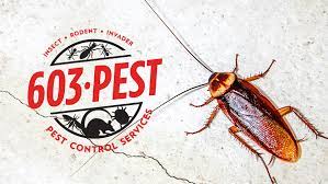 Walgreens pharmacy at 1298 hooksett rd in hooksett, nh. Pest Control Nh 603 Pest Control Services