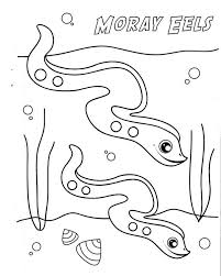 Cute Moray Eel Coloring Page Color Luna Coloring Pages Moray Eel Color