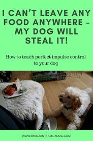 At these clinics, you can get treatments and medical care for your pet. Pet Stores Pet Stop Clinic Lonsdale