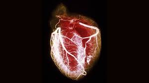 When you answer questions, answer firmly, without hesitation, and. Can You Beat A Lie Detector Test Bbc Future