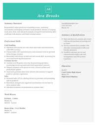 The treasury division objectives through managing performance, developing and. Professional Retail Resume Examples For 2021 Livecareer
