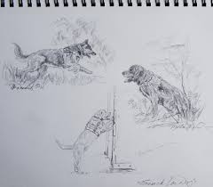 From My Sketchbook For Future Paintings Search And Rescue Dogs At Work Original Pencil Drawings Canine Artwork Searc Art Search And Rescue Dogs Painting