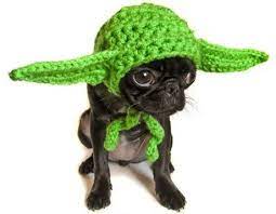 Is Radio Host Against Spay And Neuter Surgery Too Dogtime Pet Costumes Cute Animals Dog Costume