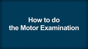 Image result for Motor Exam