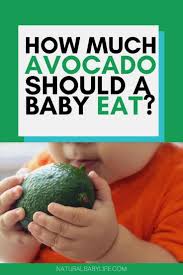 Is the fat in avocados healthy? How Much Avocado Can A Baby Eat With Age Groups Faq Natural Baby Life