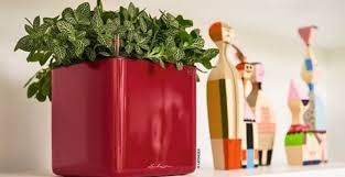 Lechuza Range Extended For 2019 Garden Centre Retail Subito a casa e in tutta sicurezza con ebay! garden centre retail