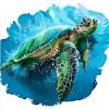 1926 sea turtle 3d models. Https Encrypted Tbn0 Gstatic Com Images Q Tbn And9gcsb18hga3c8duour K0fd1mxhyr89cqddstbqfdjq8 Usqp Cau