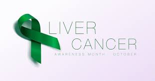 Learn which months are dedicated to specific cancers, how to raise awareness and spread research efforts. Liver Cancer Awareness Calligraphy Poster Design Realistic Emerald Green Ribbon October Is Cancer Awareness Month Vector Stock Vector Adobe Stock