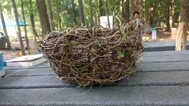 Basketweaving Workshop