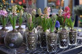 We did not find results for: 20 Creative Diy Planter Ideas Recycle Items From The House Into Containers For Your Plants Home 30seconds Mom